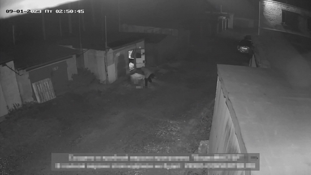 Приговор ивановцу, обезглавившему собаку, оставлен без изменения